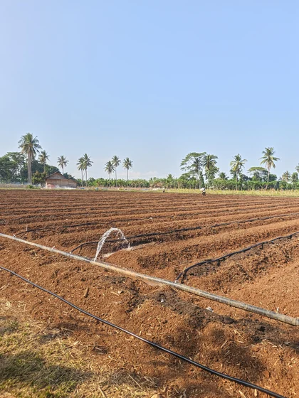 Irrigated agricultural field from ENVIID project documentation