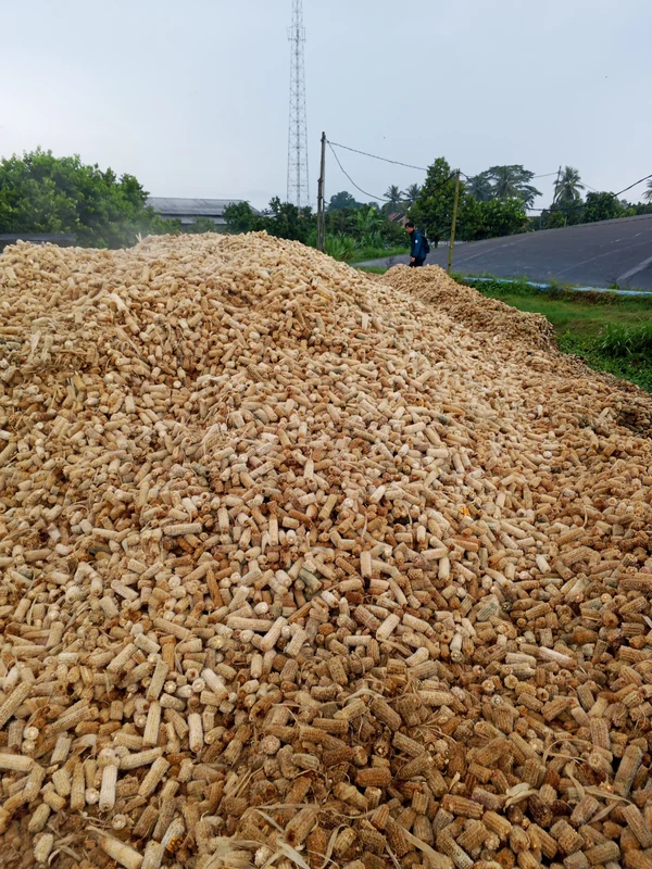 Corn-cob feedstock from ENVIID project documentation